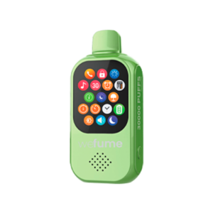 WeFume 30.000 Puffs – Summer Black Ice