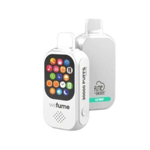 WeFume 30.000 Puffs – Ice Mint
